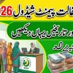 Benazir Kafaalat Payment Schedule 2026 – Complete Guide for BWritingeneficiaries