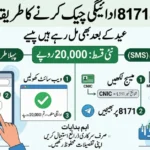 How to Check BISP 8171 Payment by CNIC in 2026 – Easy Online & SMS Method